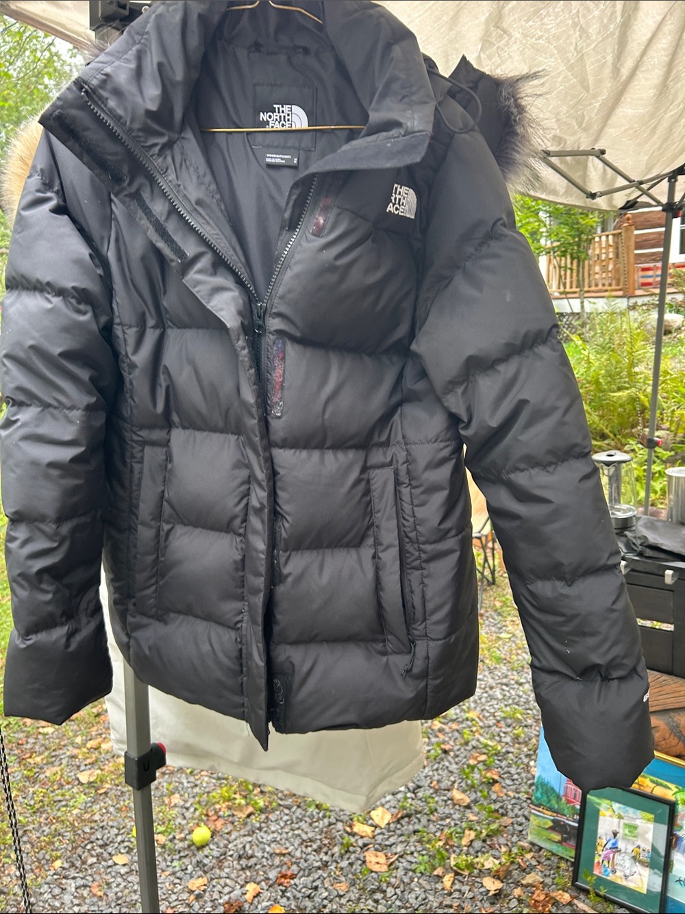 The North Face Women's Black Puffer Coat with Hood